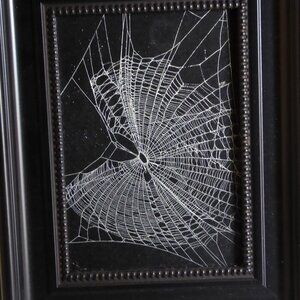 REAL MOUNTED SPIDER WEB HALLOWEEN FRAME EASEL DECOR HANDMADE ODDITY